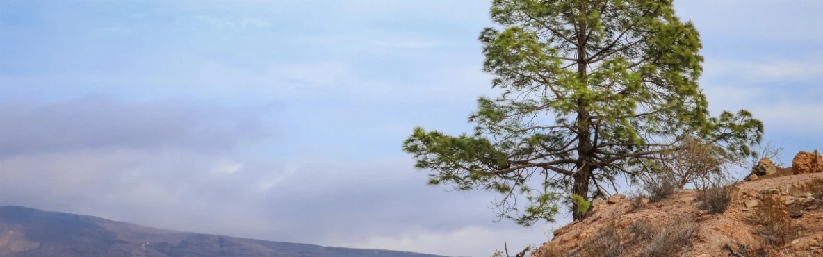 Exploring Lone Pine, USA: Gateway to the Eastern Sierra Trip