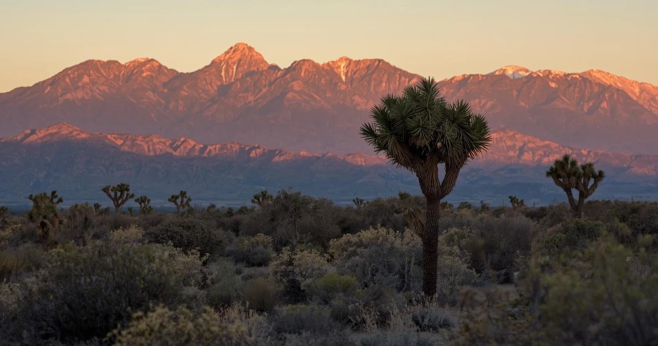 Meneroka Lone Pine, USA. Pintu Masuk ke Perjalanan Eastern Sierra