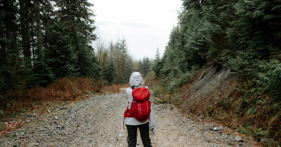 Best Hiking Trails in Lone Pine, United States for All Skill Levels